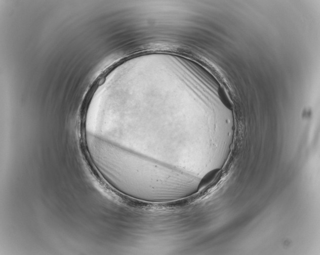 X0000093561034200711121009