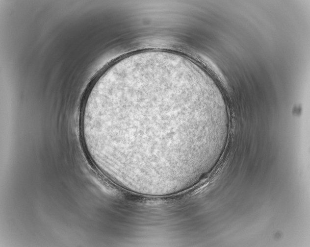 X0000093561035200711121009