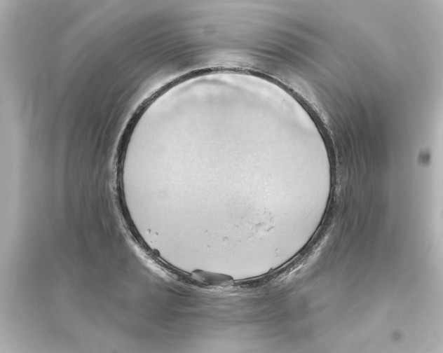 X0000093561037200711121010