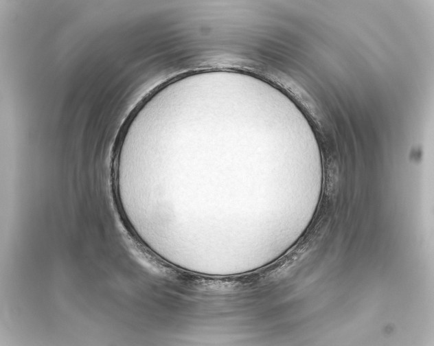 X0000093561039200711121010