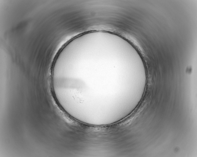 X0000093561040200711121010
