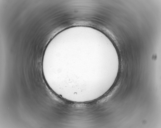 X0000093561041200711121010