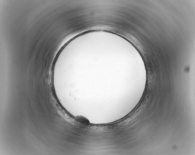 X0000093561044200711121010
