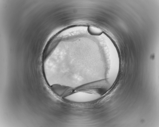 X0000093561045200711121010