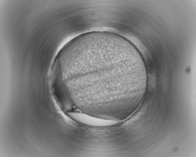 X0000093561046200711121010