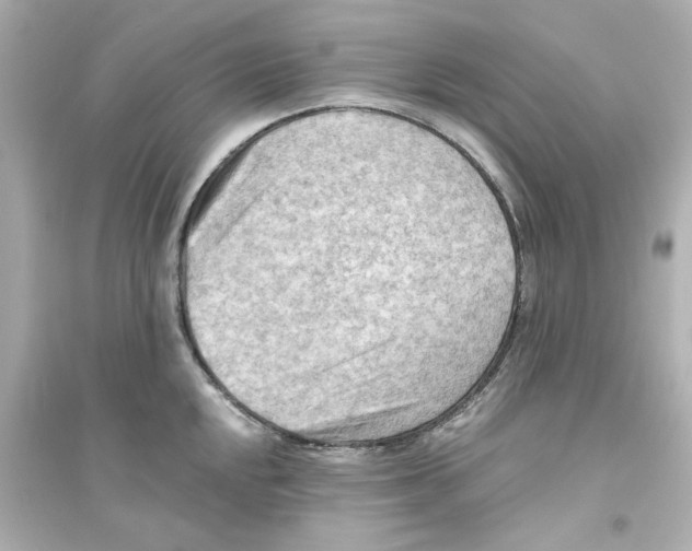 X0000093561048200711121010