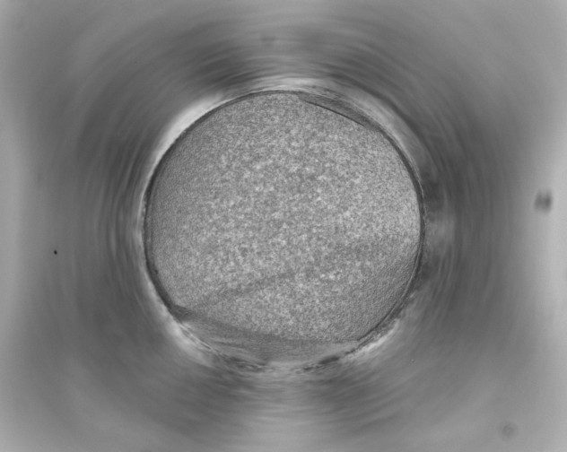 X0000093561050200711121010