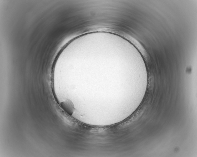 X0000093561051200711121010