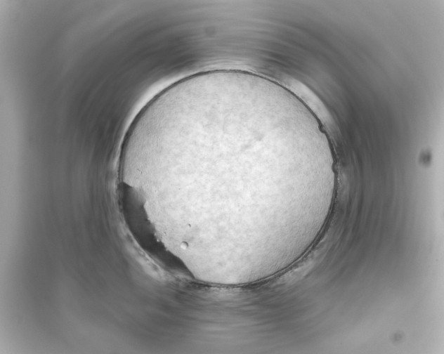 X0000093561052200711121010