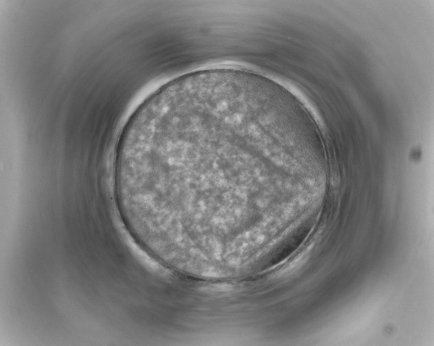X0000093561054200711121010