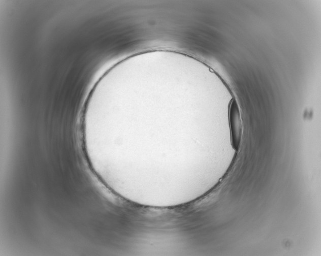 X0000093561056200711121010