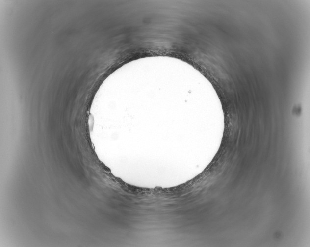 X0000093561057200711121009