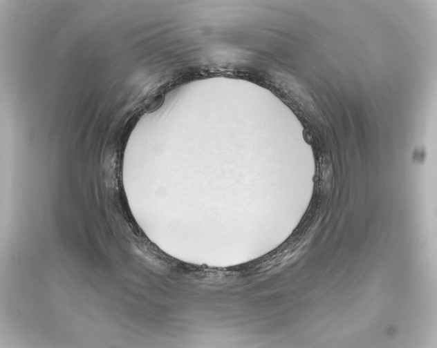 X0000093561060200711121009