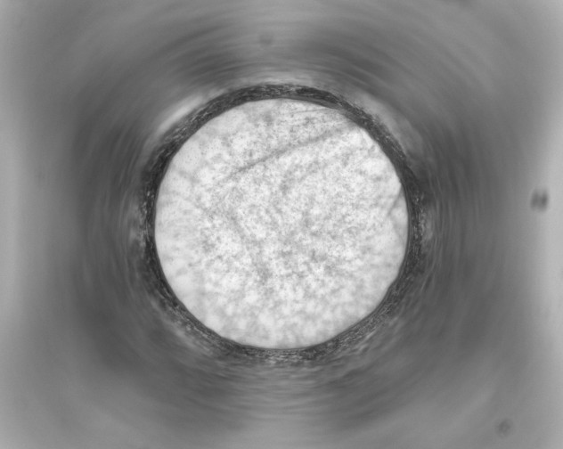 X0000093561064200711121009