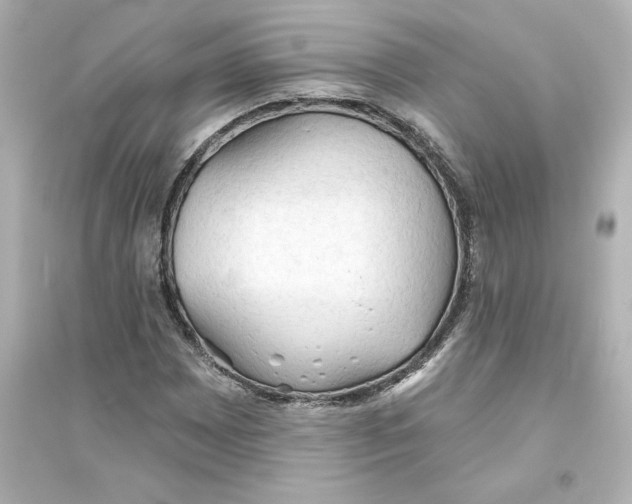 X0000093561065200711121009