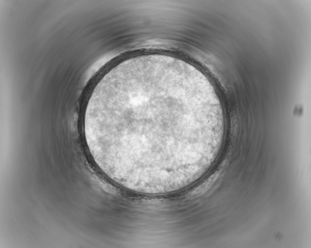 X0000093561066200711121009