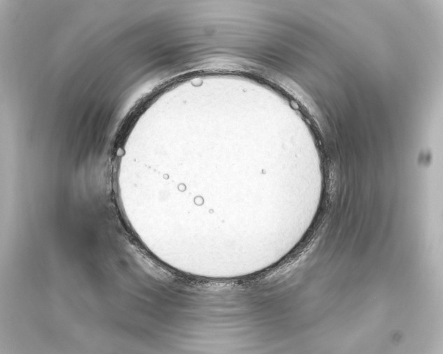X0000093561067200711121009