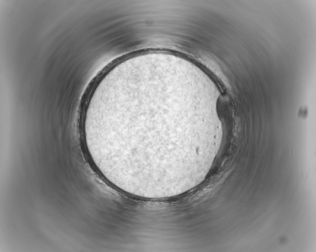 X0000093561068200711121009