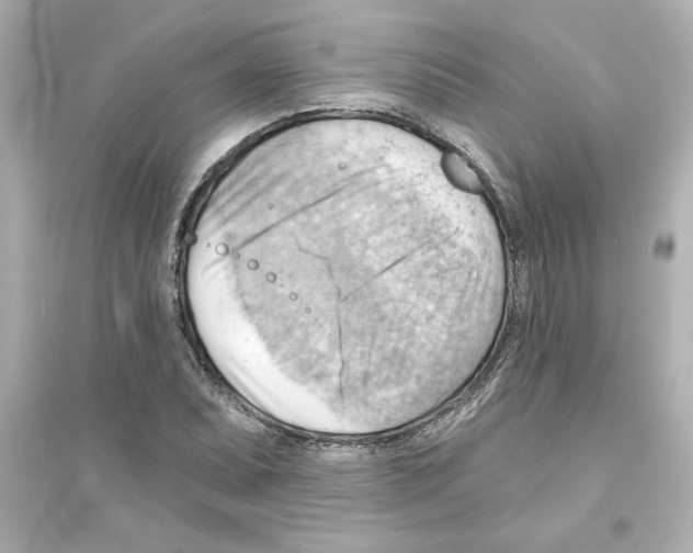 X0000093561071200711121009