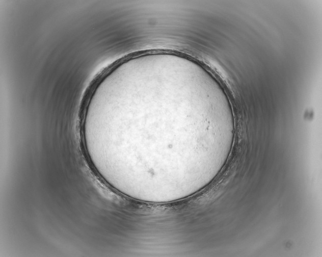 X0000093561072200711121009