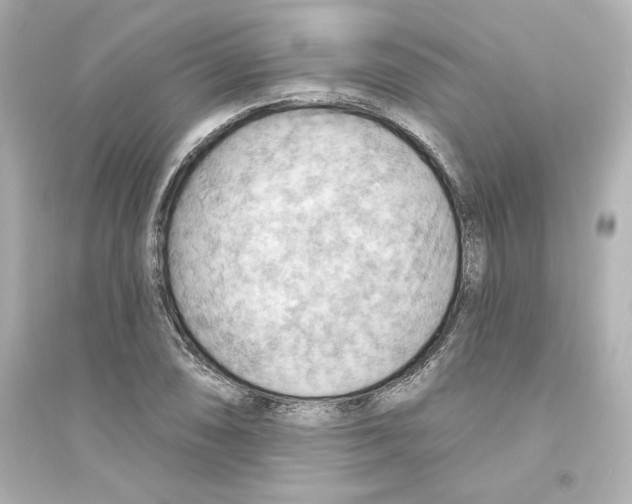 X0000093561074200711121009