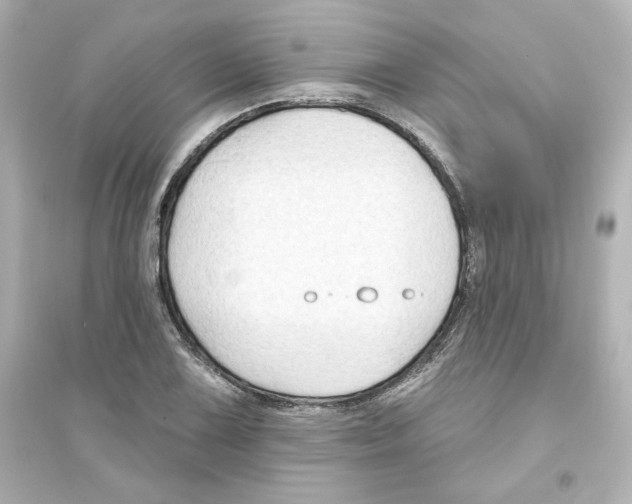 X0000093561075200711121009