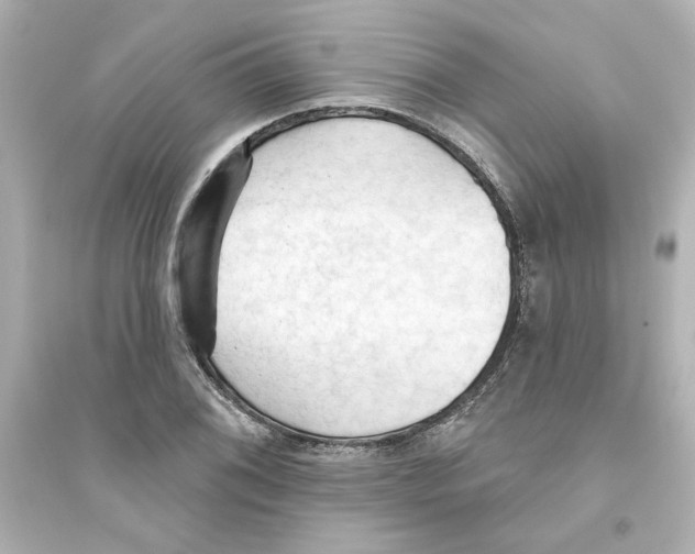 X0000093561076200711121009