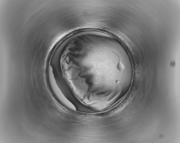 X0000093561077200711121009