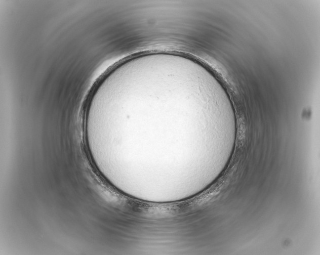 X0000093561078200711121009