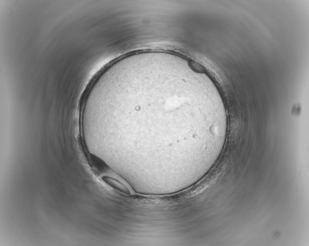 X0000093561079200711121009