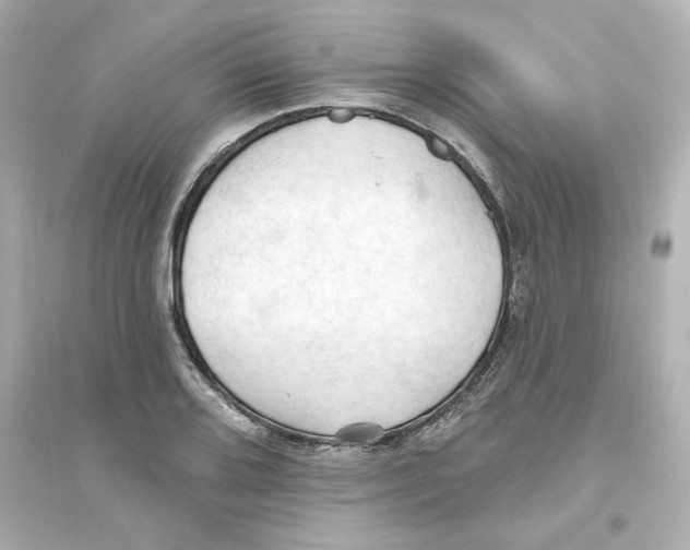 X0000093561080200711121009
