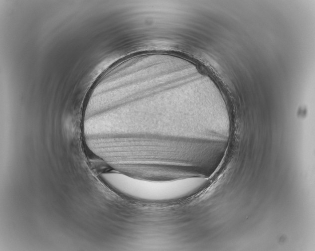 X0000093561081200711121009