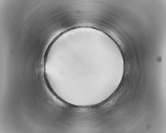 X0000093561084200711121009