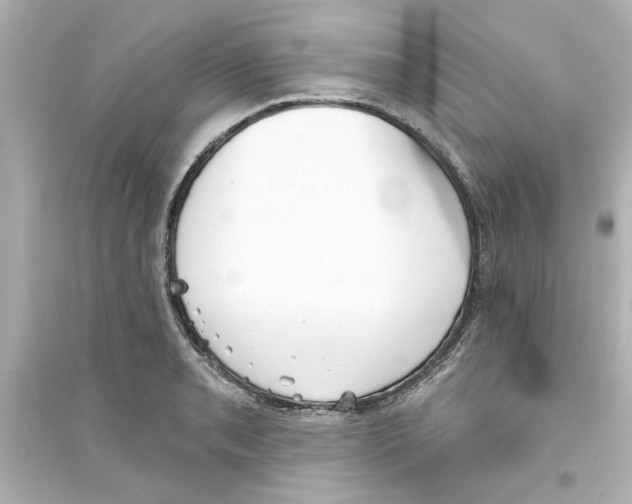 X0000093561085200711121009