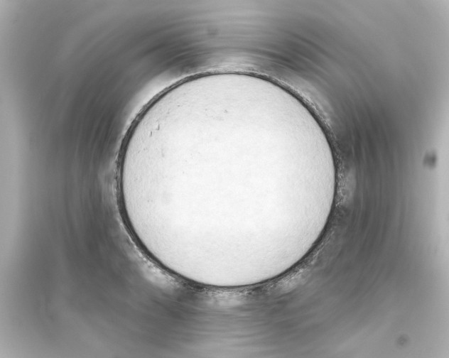 X0000093561086200711121009