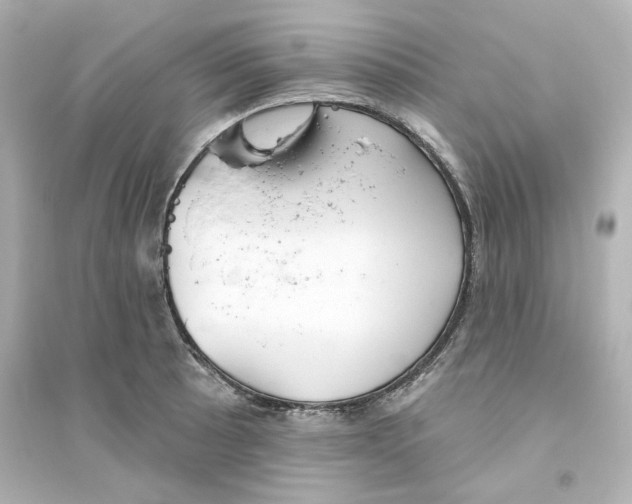 X0000093561089200711121009
