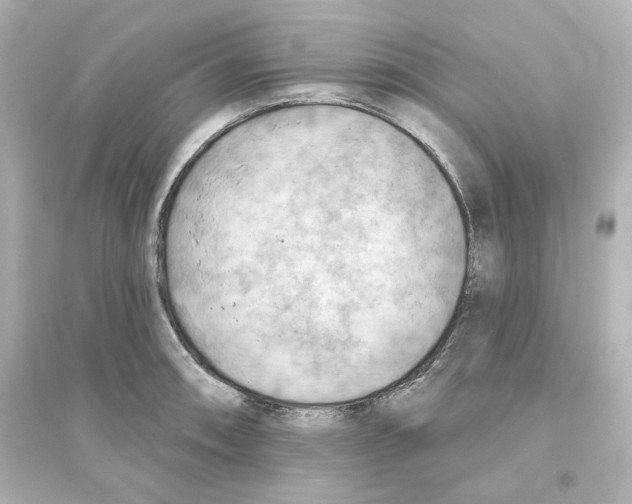 X0000093561090200711121009