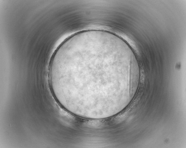X0000093561094200711121009