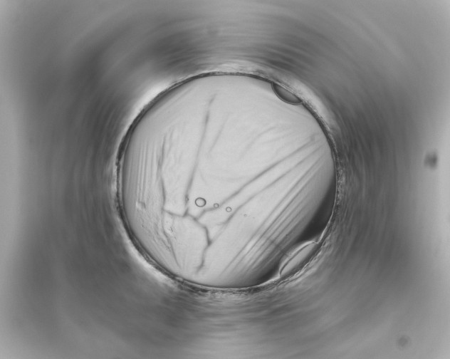 X0000093561095200711121009