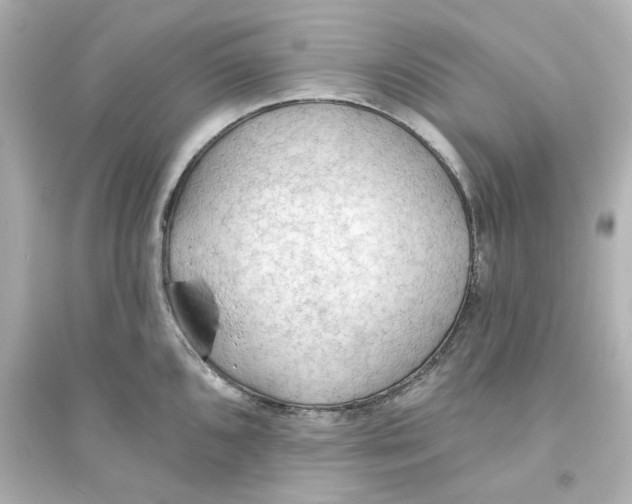 X0000093561096200711121009