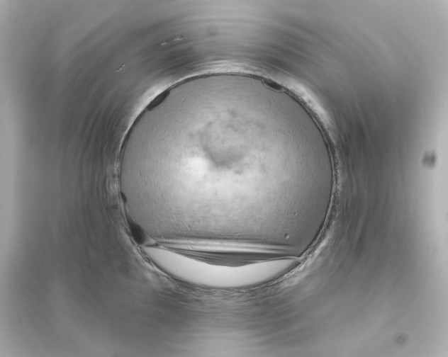 X0000093561097200711121009