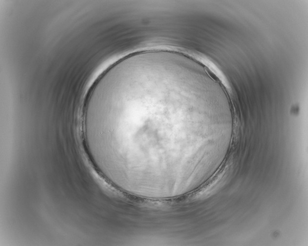 X0000093561101200711121009