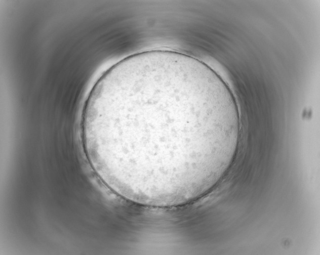 X0000093561104200711121008