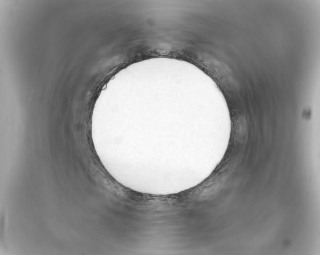 X0000093561105200711121008