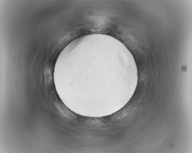 X0000093561106200711121008