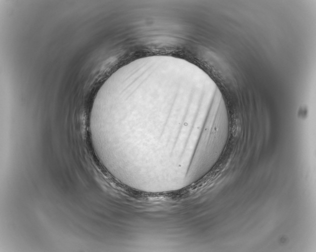 X0000093561108200711121008