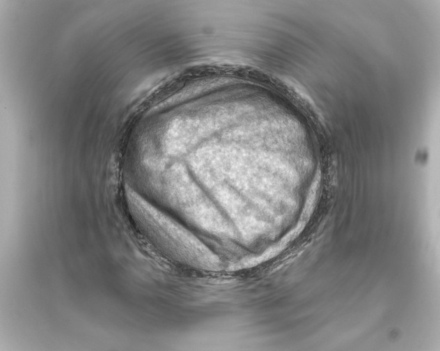X0000093561110200711121008