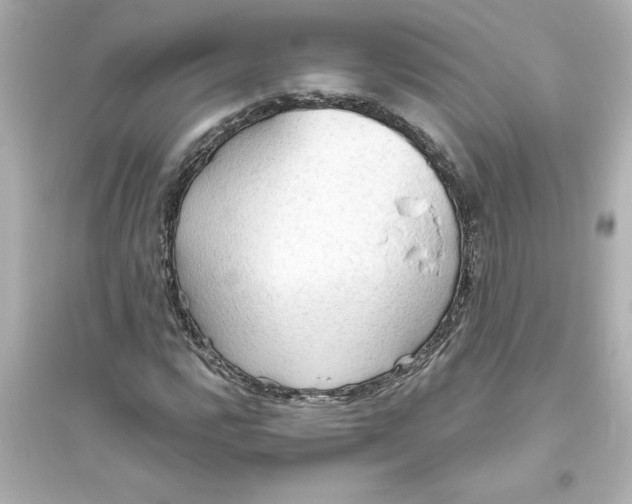X0000093561112200711121008
