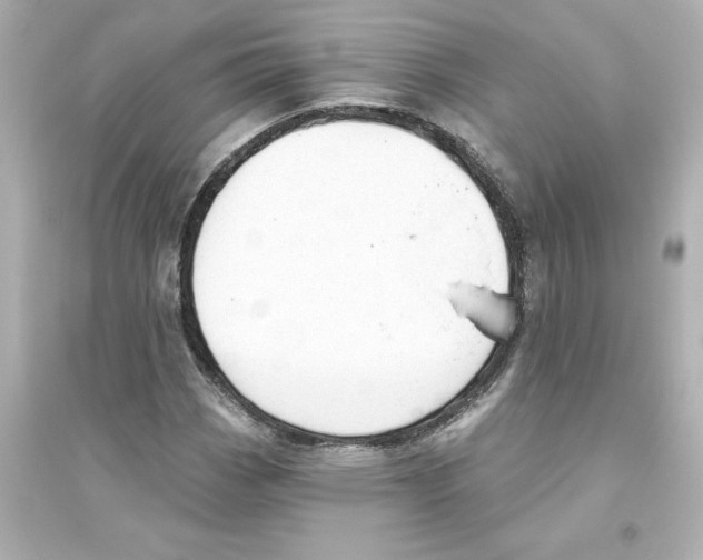 X0000093561113200711121008