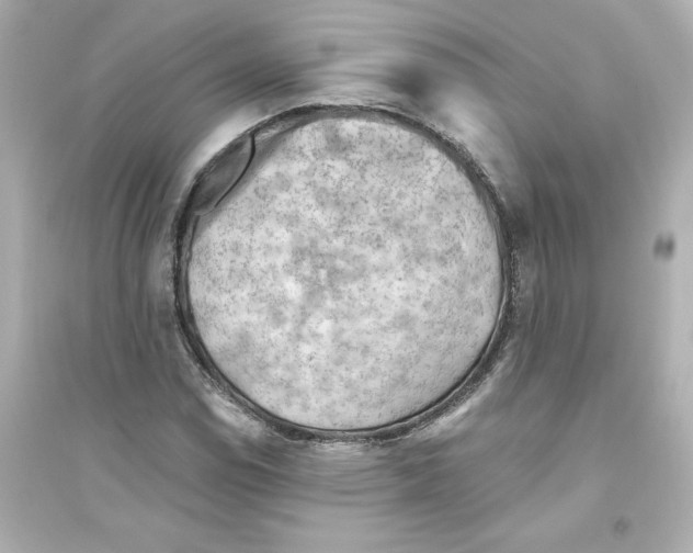 X0000093561114200711121008